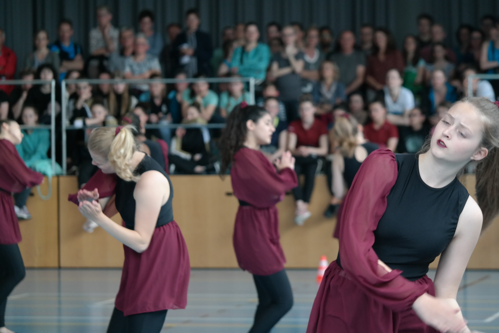 Bild 1 (56)
